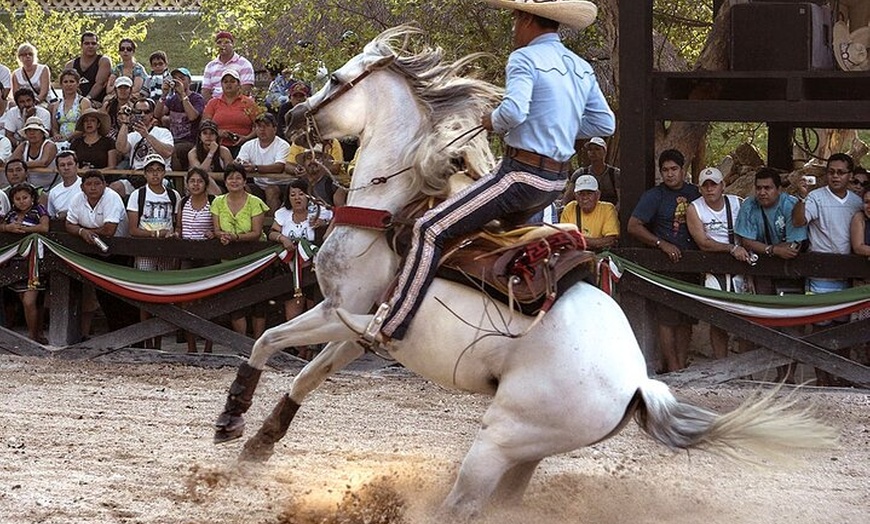 Image 2: Xcaret Park Day Tour & Night Show with Transportation