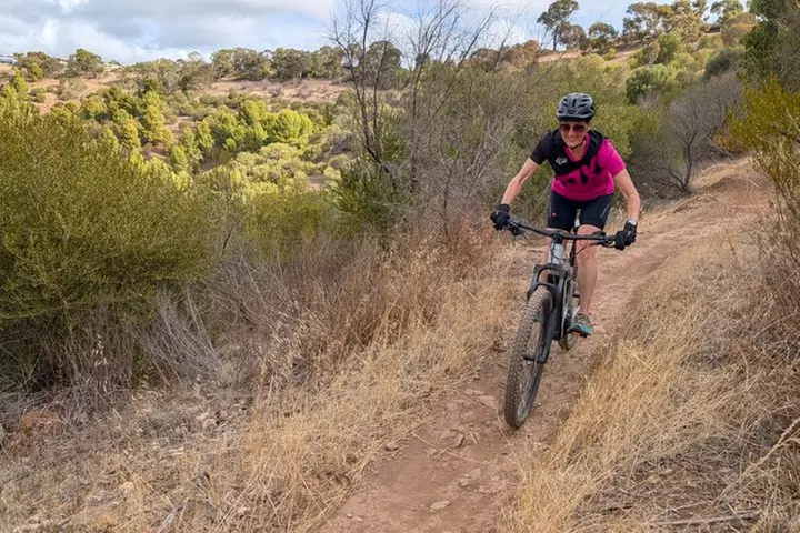 Mount Lofty & Adelaide Hills Guided MTB Tour