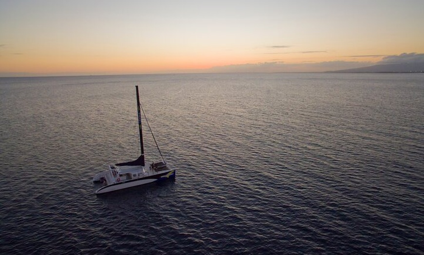 Image 7: Luxury Catamaran Cruise from Oahu