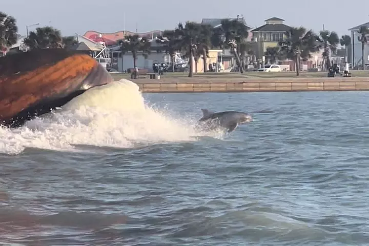 Private Dolphin Watch and Sunset Boat Tour Port Aransas Texas