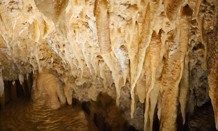 Image 8: 2 Day Tour Busselton Jetty, Ngilgi Cave to Valley of the Giants