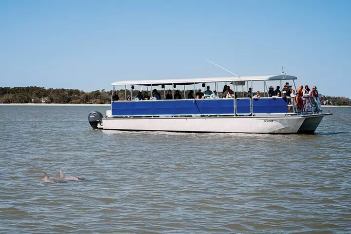 Hilton Head Island Dolphin Boat Cruise