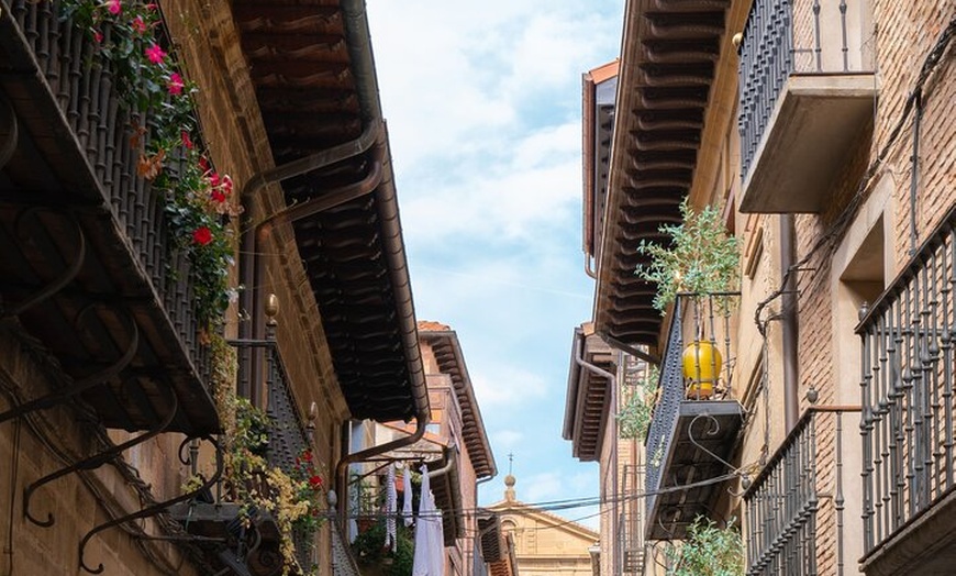 Image 6: Excursión a Logroño y Laguardia con visita a bodega desde Vitoria