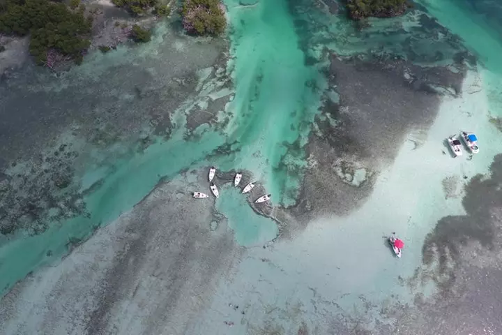 Key West Safari Eco Sandbar Tour Adventure with Snorkeling
