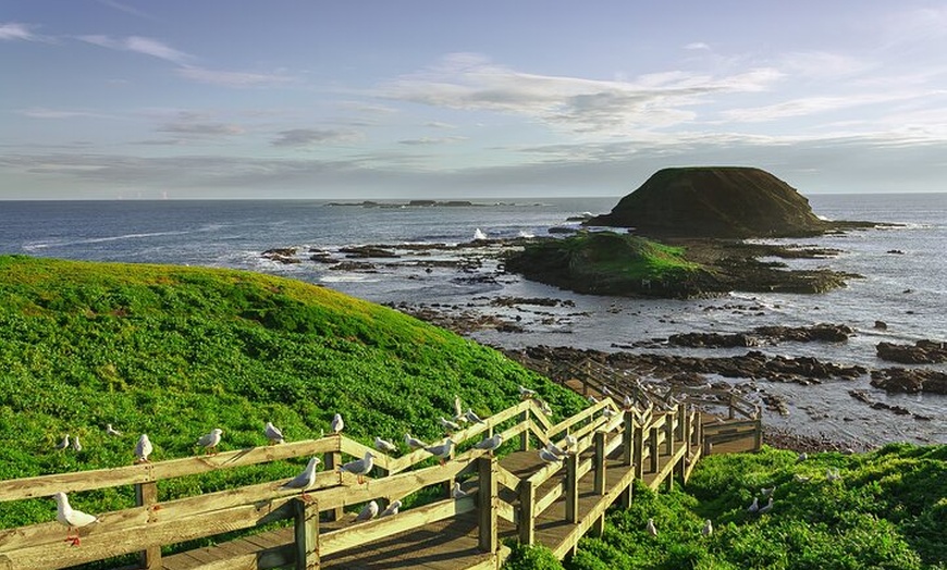 Image 7: Luxury Phillip Island Tour for Families & Explorers [up to 10Pax]