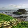 Image 7: Luxury Phillip Island Tour for Families & Explorers [up to 10Pax]