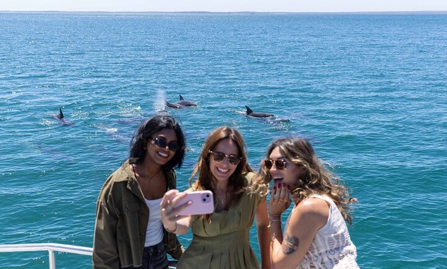Image 7: All Inclusive Jervis Bay Day Tour Dolphin Cruise, Lunch &Blowhole
