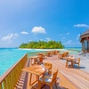Image 7: ✈ MALDIVES | Alif Dhaal Atoll - Vilamendhoo Island Resort & Spa 4* ...