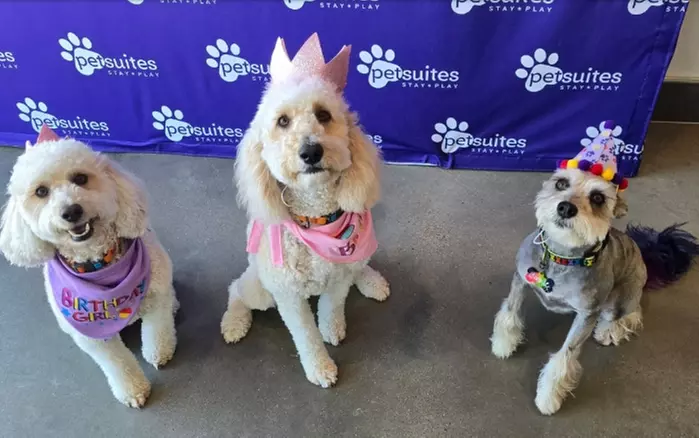 $35 For 2 Days- All Day Group Play (Reg. $70)