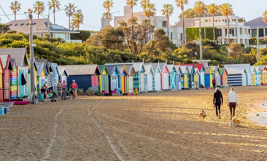 Image 14: Best of Melbourne City & Wildlife Sanctuary for Cruise Passengers