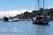 Combo Tour: Muir Woods, Sausalito and Sonoma Wine Country Tour - Second Medium