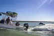 Marco Island Dolphin Watching & Tubing Adventure - Second Medium