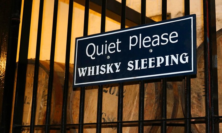 Image 4: Highland Whisky Distilleries - Invergordon Shore Excursion