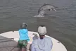 90-Minute Private Dolphin Tour in Hilton Head Island - Second Medium