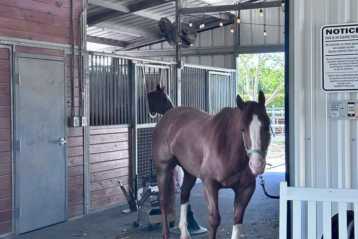 Horseback Riding in Miami