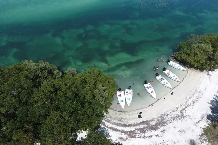 Key West Safari Eco Sandbar Tour Adventure with Snorkeling