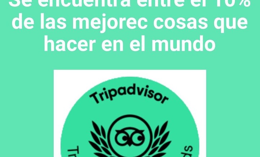 Image 2: Navegación en Formentera, playas virgenes y naturales