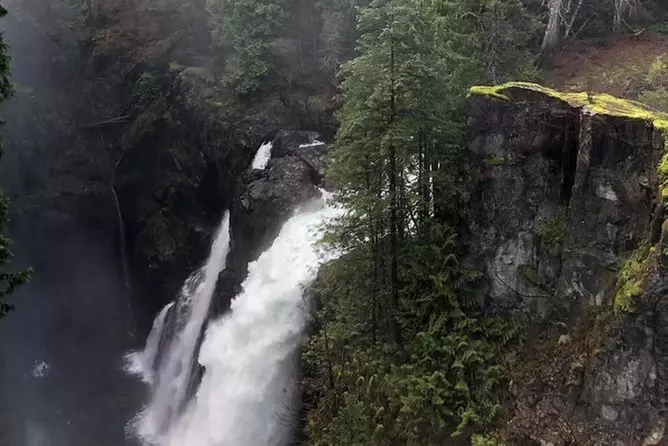 Elk Falls Guided Nature Walk - Primary Image