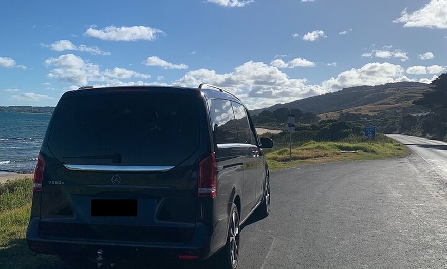 Image 4: Great Ocean Road and 12 Apostles Private Day Tour