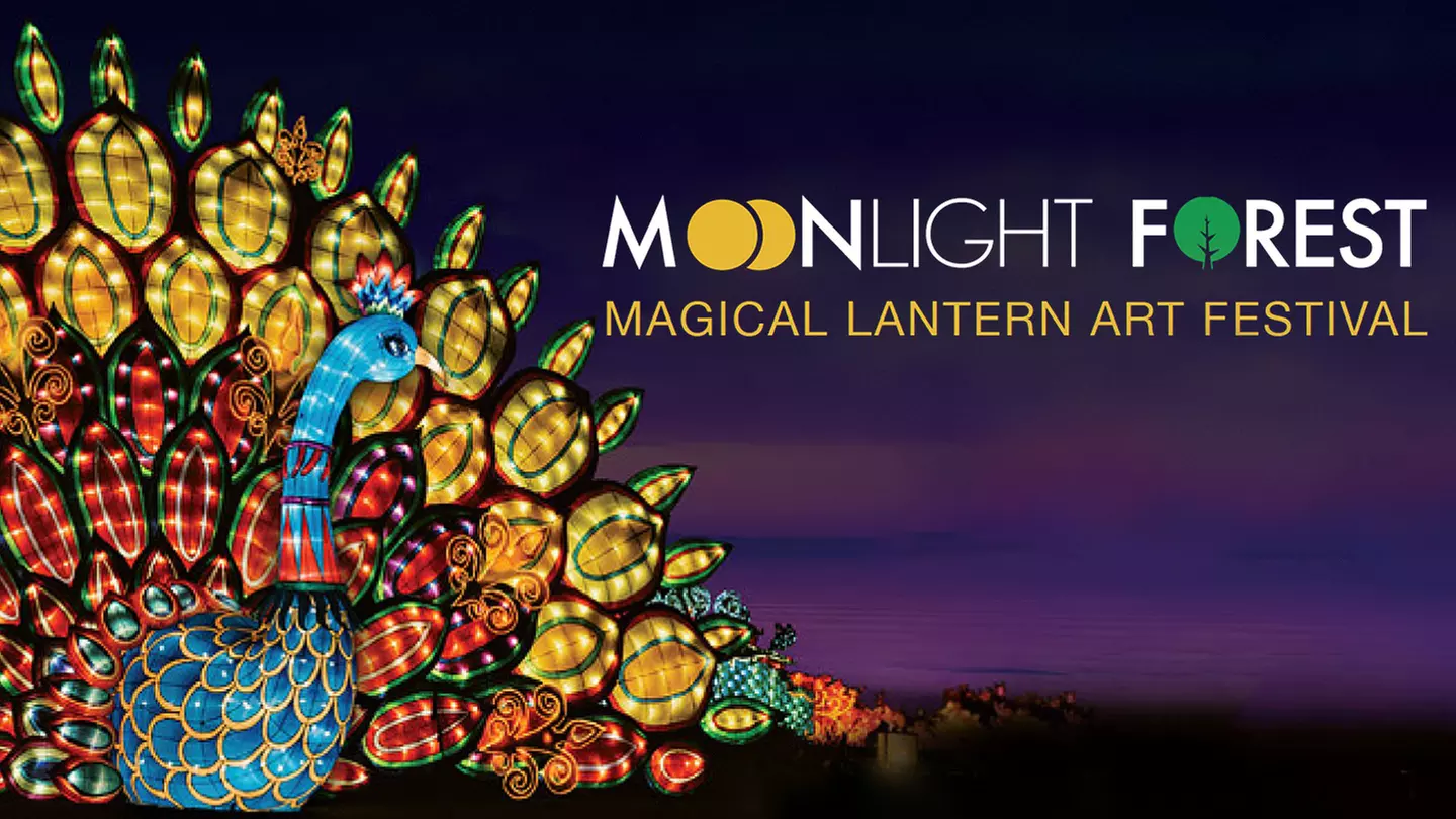 "Moonlight Forest" -- Lantern Art Festival at the Los Angeles Arboretum - Primary Image