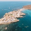 Image 12: Excursión de un día a la isla de Tabarca desde Murcia o Torrevieja