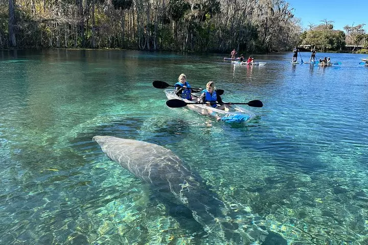 Silver Springs Self Guided Clear Kayak Rentals - Primary Image
