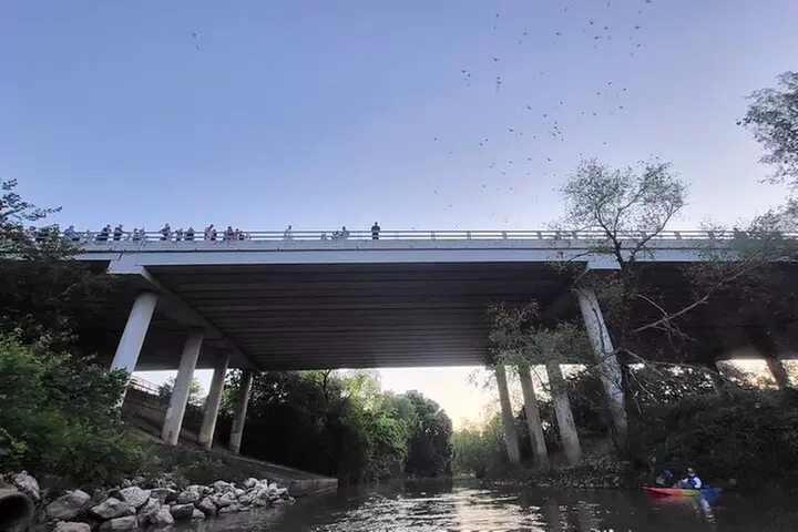 Downtown Houston Bat and Skyline Kayaking Tour