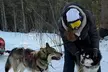 Large Groups for Mushing Activity - Second Medium