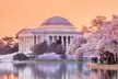 Washington DC Potomac Cruise and Bus Tour with Optional Tickets - Second Medium
