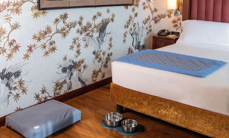 Image 41: ✈ ITALY | Milan - NPU Dutch Design Hotel Vondelpark 4*, 2 nights - ...