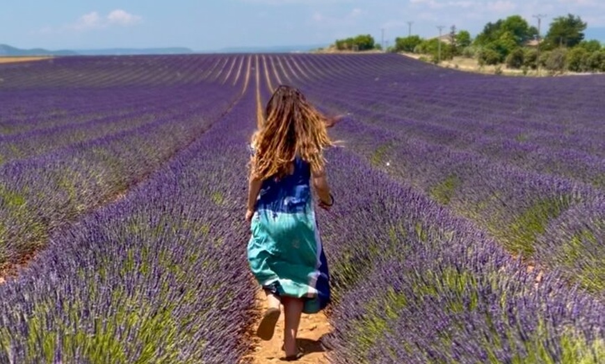 Image 13: L'Occitane, Moustiers & Verdon d'Aix en Provence