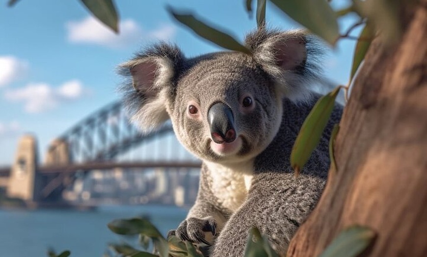 Image 5: Sydney Your Way: Customisable Private Tour