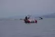 Open Boat Whale Watching - Second Medium