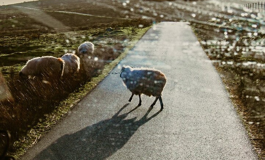 Image 2: Private 3 Day Tour to Skye Loch Ness and Glencoe from Glasgow