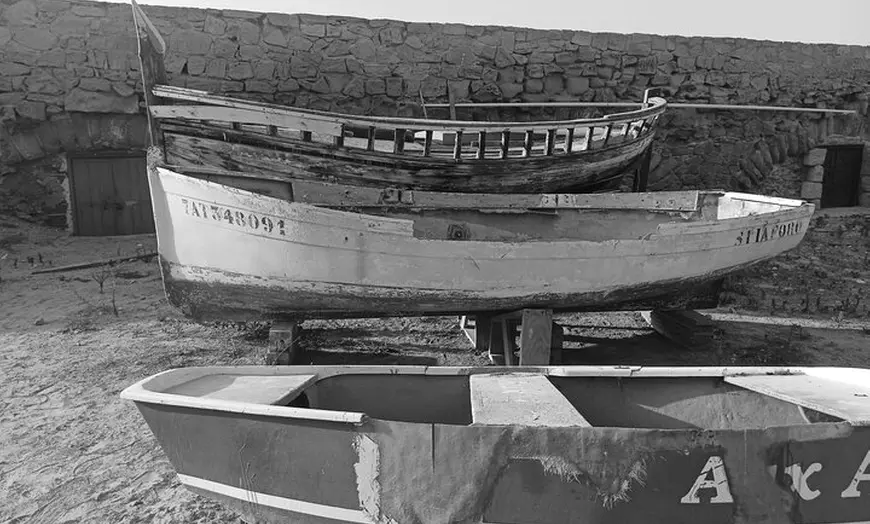 Image 3: Desde Alicante: Tabarca Santa Pola y Laguna Rosa de Torrevieja