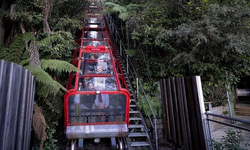 Image 5: Blue Mountains Luxury Tour Experience