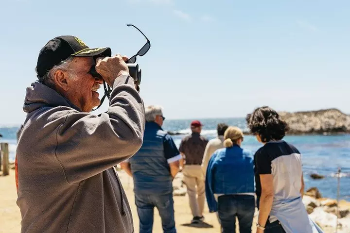 Monterey, Carmel and 17-Mile Drive: Full Day Tour from SF