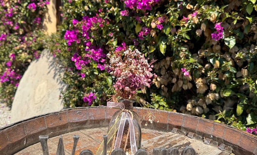 Image 20: Gaudí Unveiled & Premium Wine Escape - Tour Privado