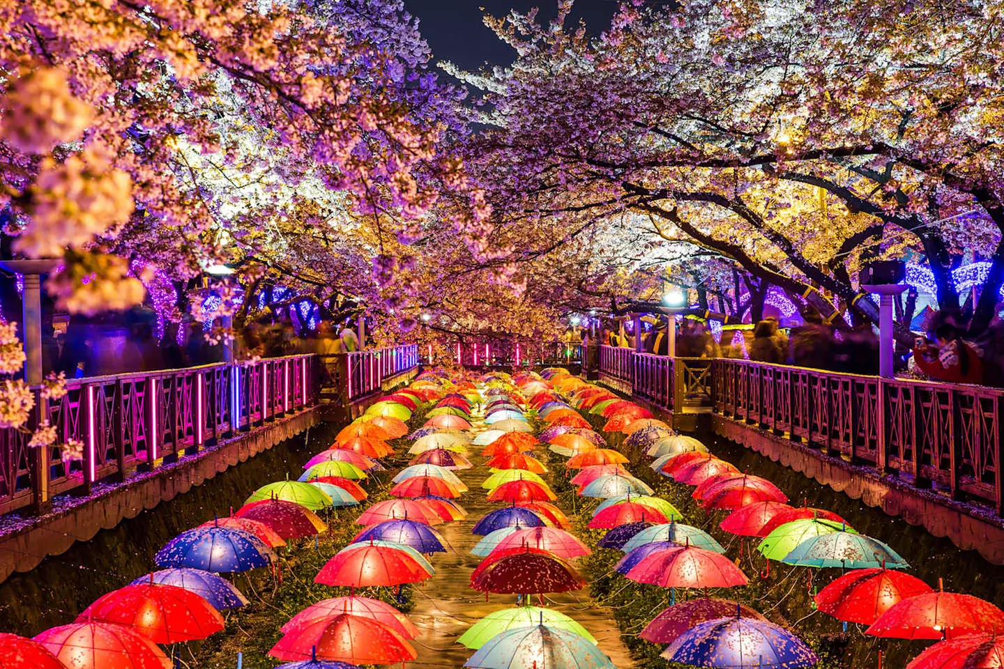 ✈ COREA DEL SUD | - Viaggio combinato Seul - Busan in 4*, 8 notti -...