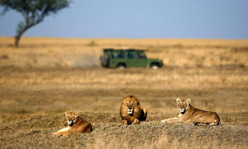 Image 3: ✈ TANZANIE | Dar Es Salam - Séjour d'exception en Tanzanie du sud 5...