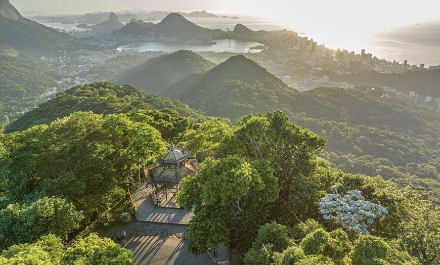 Image 30: ✈ BRÉSIL | Rio De Janeiro - Concert Rosalia à Rio de Janeiro - Cat....
