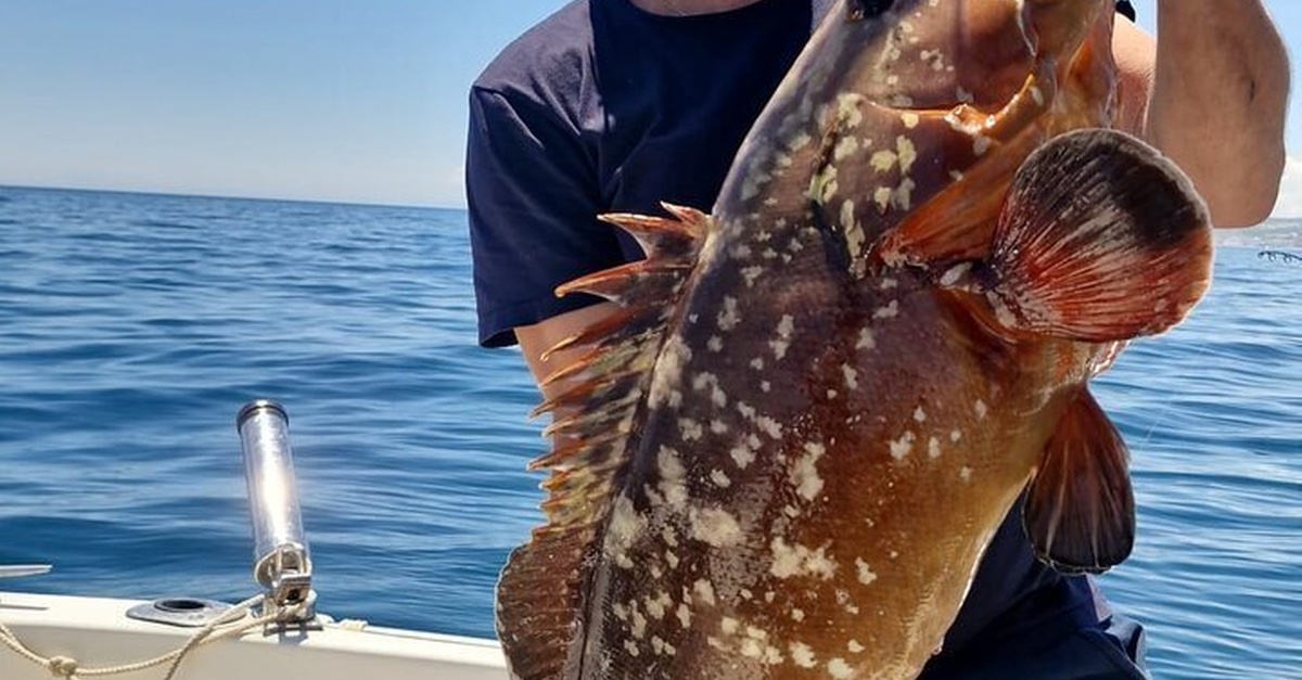 Tour de pesca en barco de 2 horas en Manilva, Málaga