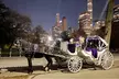 Luxury Horse and Carriage Rockefeller and Christmas lights tour - Second Medium