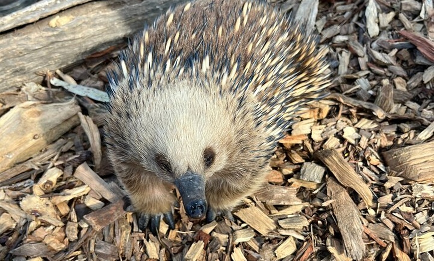Image 2: Explore Wildlife and Richmond Heritage Tour