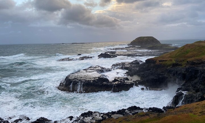 Image 2: Phillip Island Tour with Italian Guide
