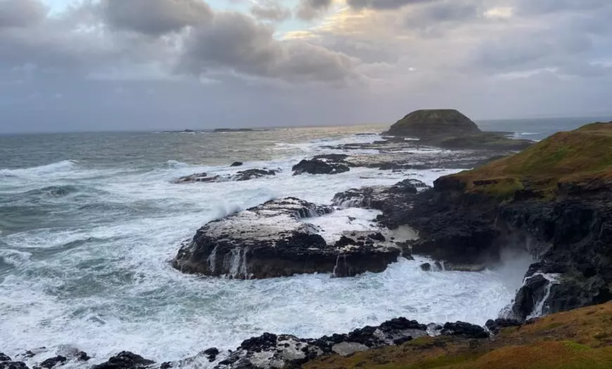 Image 2: Phillip Island Tour with Italian Guide