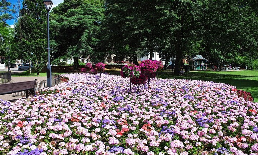 Image 4: Explore Cardiff in 90 minutes with a Local - Private Tour