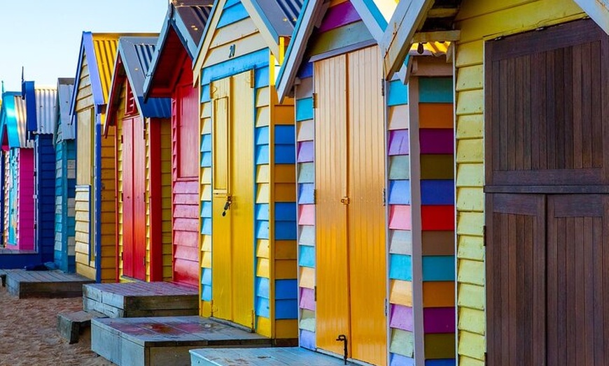 Image 13: Best of Melbourne City & Wildlife Sanctuary for Cruise Passengers