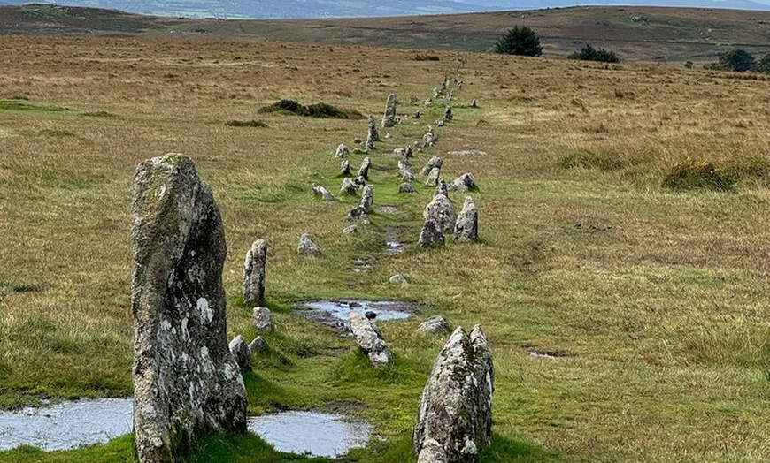 Image 11: Half day Guided Dartmoor Tour
