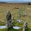 Image 11: Half day Guided Dartmoor Tour